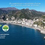 UNITI PER MAIORI – IL TENTATIVO DI FARE SINTESI